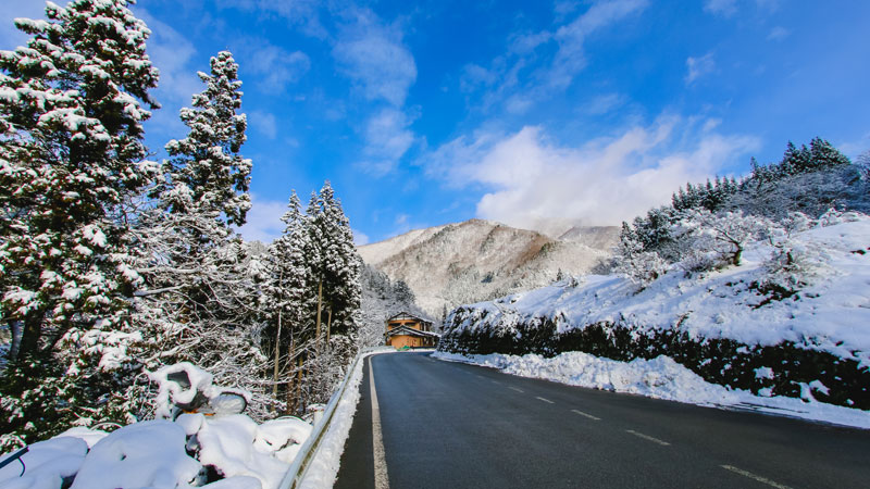 Weekend Adventures? Here’s Why a Taxi Beats Driving Yourself